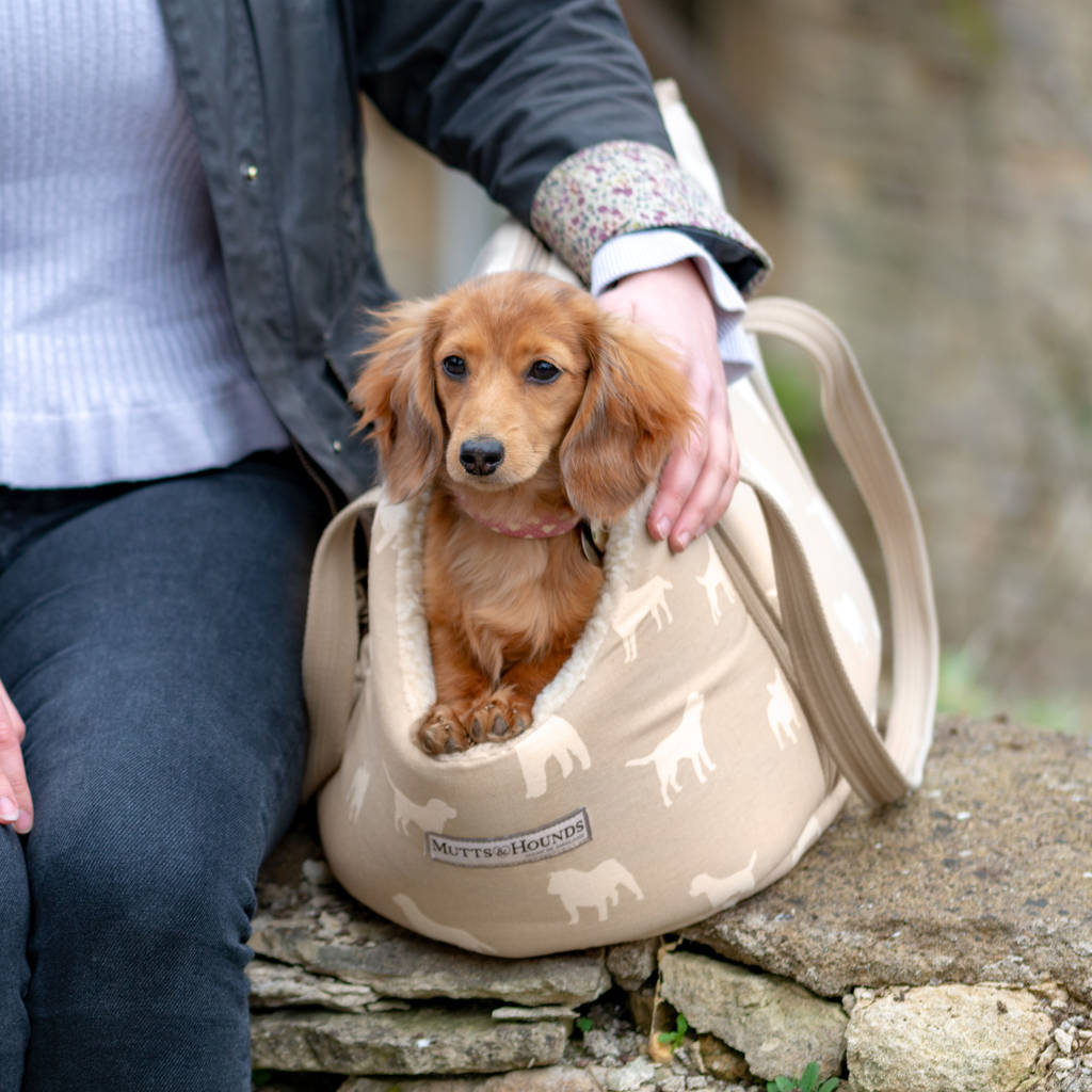 Mutts And Hounds Dog Print Dog Carriers By Mutts & Hounds