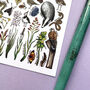 Meadows Wildlife Of Britain Watercolour Postcard, thumbnail 9 of 12