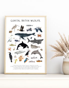 Coastal British Wildlife Print, 2 of 3