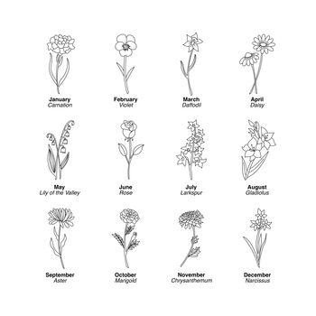 Personalised Birth Flower Book Birthday Gift For Daughter, 2 of 9