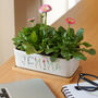 Personalised Floral Lettering Ceramic Bamboo Planter, thumbnail 4 of 5