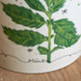 Decorative Ceramic Herb Pot, thumbnail 3 of 5