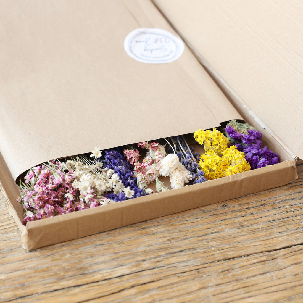 Wilderflower Bright Cut Dried Flowers Letterbox Gift By Lisa Angel