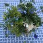 Provençal Style Blue And White Tablecloth Beziers, thumbnail 4 of 7