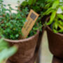 Gin Lovers Botanical Herb Collection, thumbnail 8 of 11