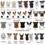 Personalised Dog Varsity Vacuum Water Bottle, thumbnail 5 of 12