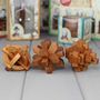 Three Classic Wooden Puzzles Based On Great Minds, thumbnail 1 of 5