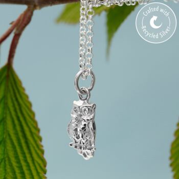 Sterling Silver Wise Owl Charm Necklace, 3 of 7