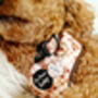Vintage Bear Gingham Dog Collar With Optional Set, thumbnail 8 of 11