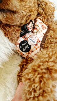Vintage Bear Gingham Dog Collar With Optional Set, 8 of 11