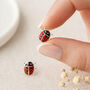 Sterling Silver Ladybird Stud Earrings – 6mm, thumbnail 1 of 4