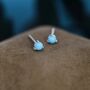 Genuine Turquoise Stone Stud Earrings Sterling Silver, thumbnail 1 of 12