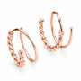 Illusion Double Hoop Rope Spiral Earrings, thumbnail 5 of 6