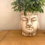 Buddha Head Cement Planter, thumbnail 1 of 3