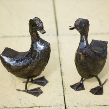 Brown Runner Ducks And Ducklings, 2 of 3