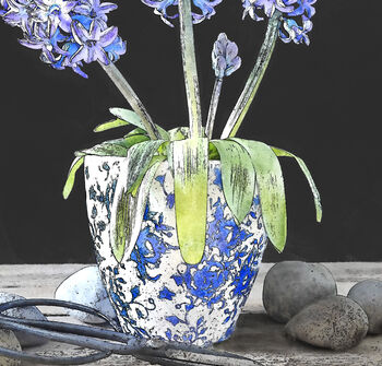 Three Hyacinths, Fine Art Print, 3 of 7
