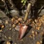 Garden Hand Trowel Steel Copper Blade With Wooden Handle Gift, thumbnail 6 of 12