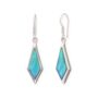 Blue Opal Diamond Drop Earrings In Sterling Silver, thumbnail 2 of 6
