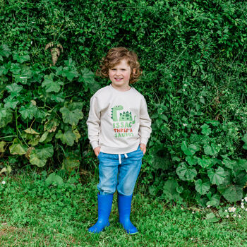 Personalised Kids Natural Dinosaur Birthday Sweatshirt, 6 of 12