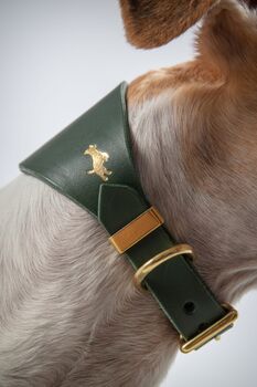 Personalised Luxury Leather Sight Hound Collar, 8 of 8