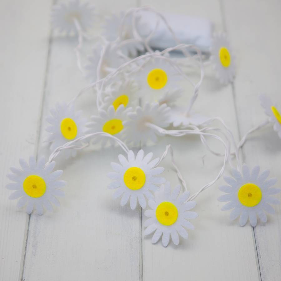 daisy fairy lights