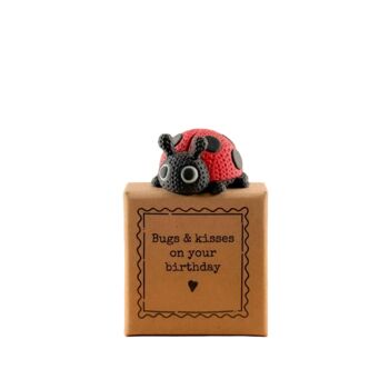 Bugs And Kisses On Your Birthday Tiny Little Gifts, 3 of 3