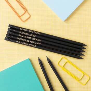 Funny Accountant Pencil Set: Be Audit You Can Be, 2 of 6