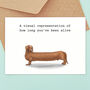 Funny Sausage Dog Birthday Card, thumbnail 3 of 3