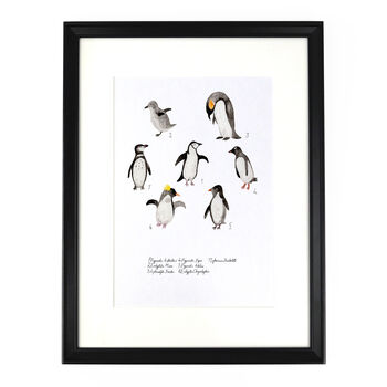 Waddle Of Penguins Art Print, 4 of 8