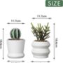 Set Of Two Artificial Plants With Ceramic Plant Pots, thumbnail 2 of 3