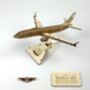 Boeing 737 8200 Model Plane Personalised Wooden Kit, thumbnail 9 of 11