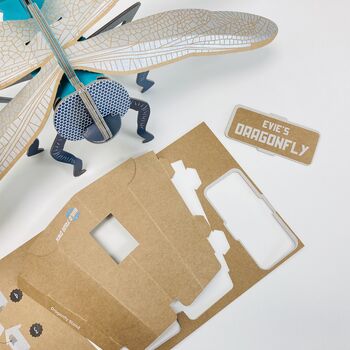 Build Your Own Personalised Dragonfly, 7 of 12