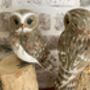 Hand Carved Wooden Owl Figurine Woodland Home Decor Ornament Figurine Gift, thumbnail 6 of 8