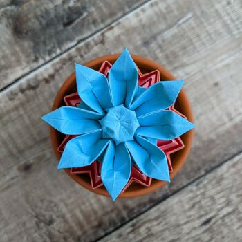 Multi Coloured Origami Cactus With Paper Flower, 8 of 10