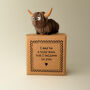 I May Be A Tiny Moo But I Believe In You Tiny Little Gifts Highland Cow, thumbnail 1 of 4
