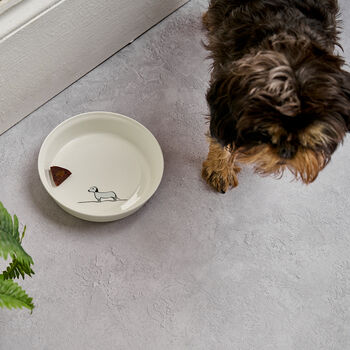 Dog Bowl With Sausage Dog, 4 of 5