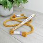 Design Your Own Cotton Dog Lead, thumbnail 1 of 12
