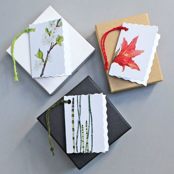 Pack Of Six Assorted Botanical Gift Tags, 3 of 6