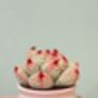 Handcrafted Succulent Garden In Pastels, thumbnail 6 of 8