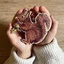 Woodland Squirrel Wooden Decoration Keepsake, thumbnail 1 of 4