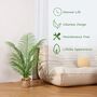 Large Artificial Palm Tree In Pot Fake Faux Plant, thumbnail 7 of 10