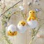 Felt Easter Chick In Egg Hanging Decoration, thumbnail 3 of 3