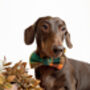 Squirrel Chaser Handmade Dog Bow Tie Autumn, thumbnail 6 of 6