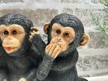 See, Hear, Speak No Evil Monkeys Figurine Ornament, 5 of 12
