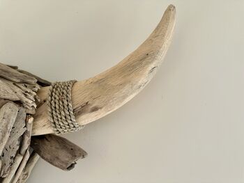 61cm Driftwood Bull Head With Horns Wooden Wall Decor, 3 of 9