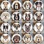 Dog Treat Tin 65 Personalised Designs Available, thumbnail 6 of 12