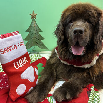 Personalised Dog Christmas Stocking, 2 of 4