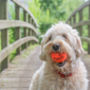 Fetch Dog Balls, thumbnail 6 of 8