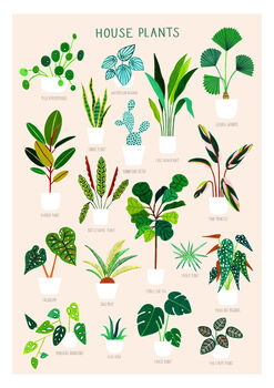 House Plant Print, 6 of 7