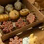 Autumnal Wax Melt Selection Box For Autumn Decor, thumbnail 6 of 10